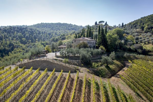 Cortonesi